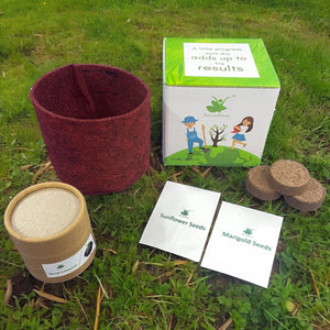 Seasonal Flower Grow Kit - Pack Of 6 DIY Kits + 6 Gift Bags - Best Return Gift For Kids Birthday Party - Corporate Gifting