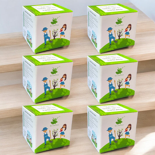 Grow Your Own Seasonal Flower Premium Kit - Pack Of 6 - Best Return Gift For Kids Birthday Party - Corporate Gifting
