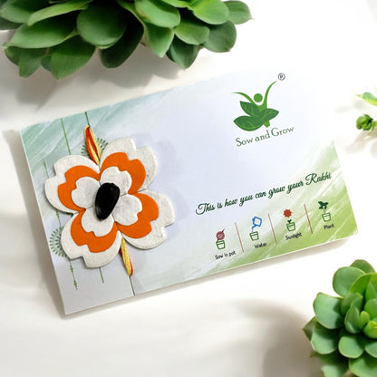 Seed Paper Rakhi Set: Rakhi with Seeds | Combo with a DIY Gardening Kit