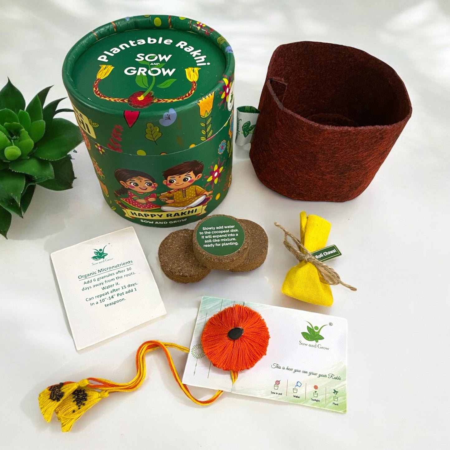 3-Pack Thread Rakhi with Seeds Grow Kit || Rakhi with Seeds || Combo with a Gardening Kit