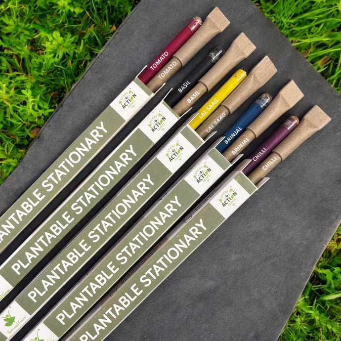 Eco Friendly Plantable Seed Pencil and Seed Pen | Best for Distributing in School | Return Gift | Corporate Gifting | 1 Seed Pencil and 1 Seed Pen in a Box