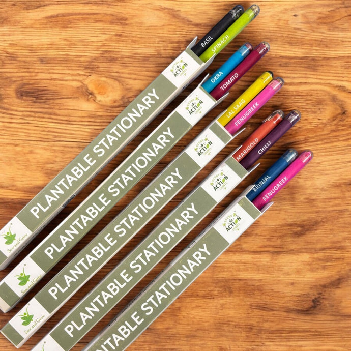 Eco Friendly Plantable Seed Pencils | Best for Distributing in School | Return Gift | Corporate Gifting | 2 Seed Pencils in a Box
