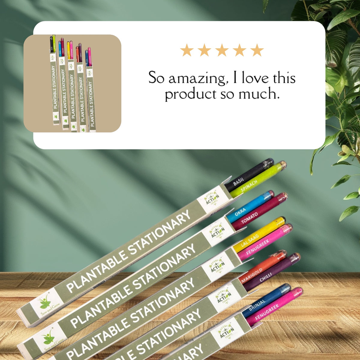 Plantable Seed Pencils – 2 Pencils per Box | Eco-Friendly Stationery | Perfect for School Distribution, Return Gifts & Corporate Gifting