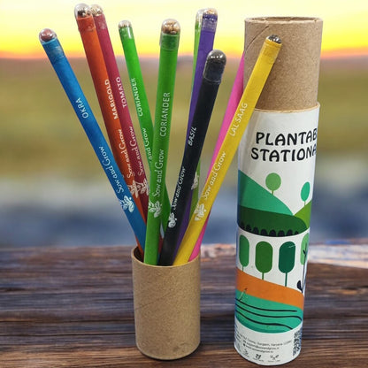 Sow and Grow 12 Plantable Seed Pencils in a Re-usable Pencil Box | For Writing, Drawing, Sketching