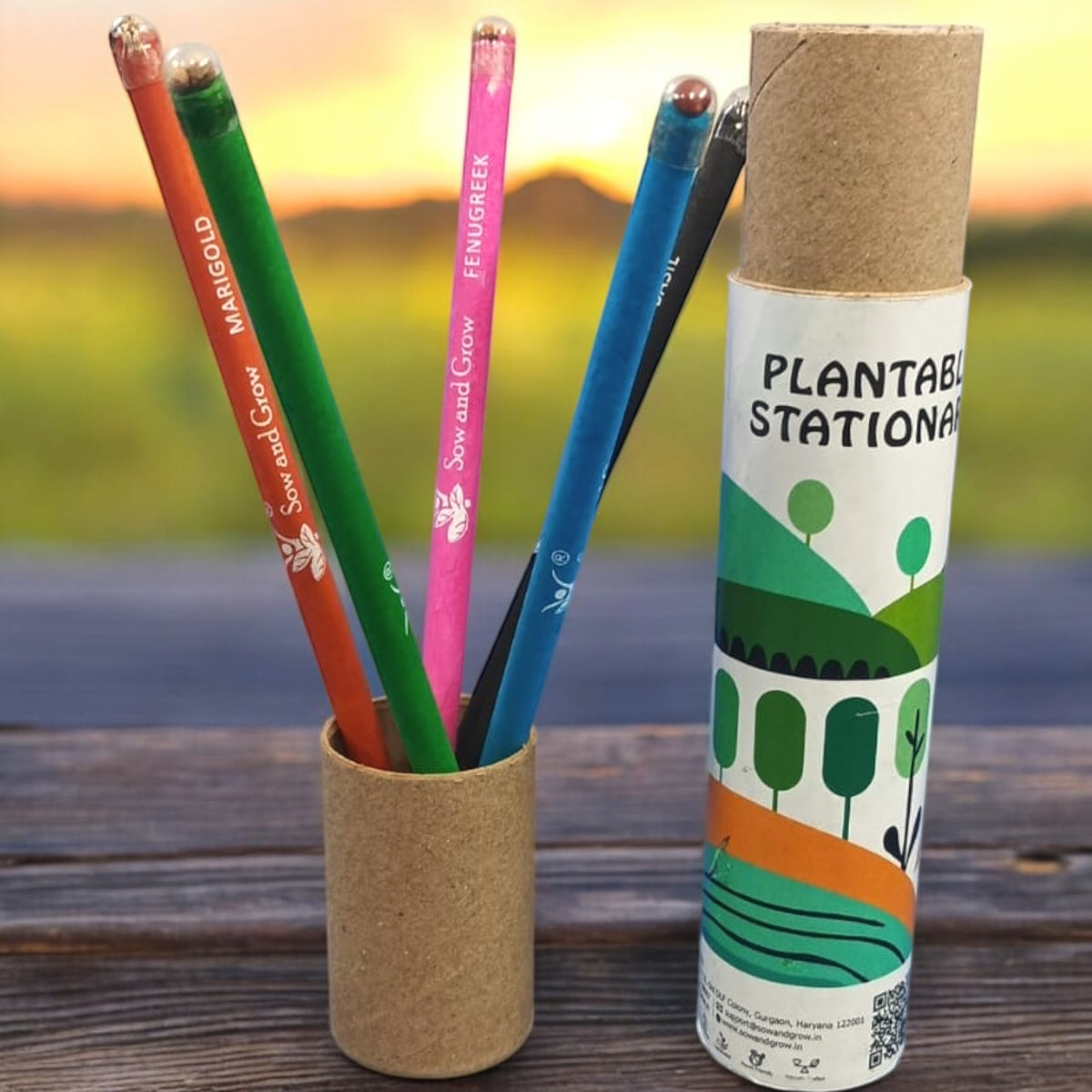 Sow and Grow 5 Plantable Seed Pencils in a Re-usable Pencil Box | For Writing, Drawing, Sketching