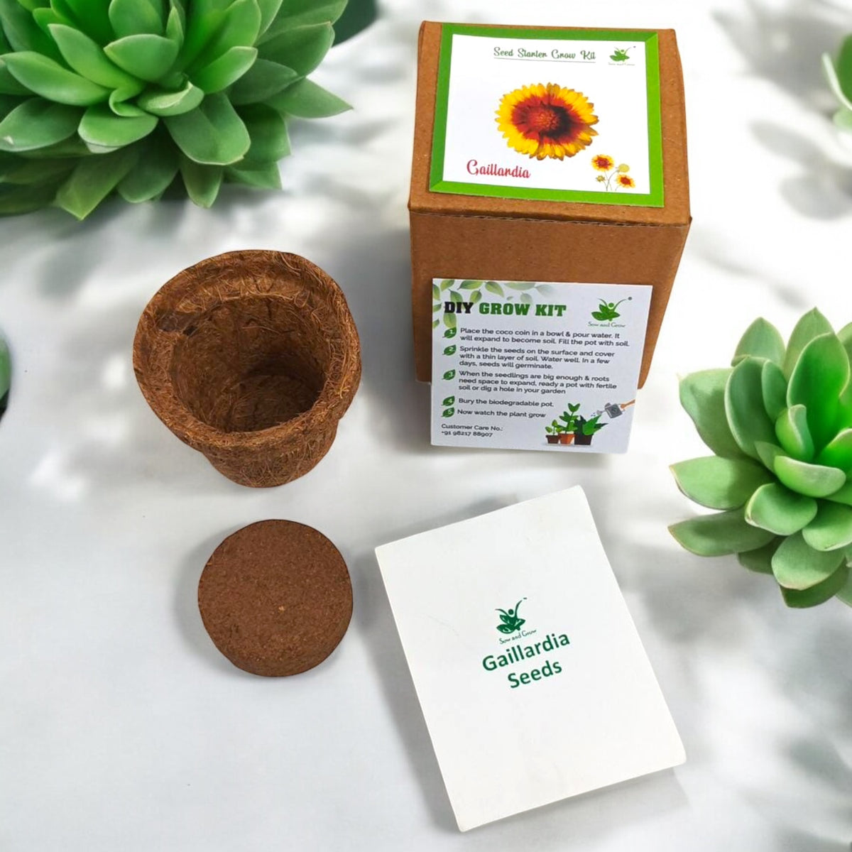Mini Gaillardia Flower Grow Kits – Set of 9 | Eco-Friendly DIY Gardening Gift Pack for Kids & Adults | Return Gift Ideas