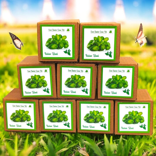 Mini Italian Basil Grow Kits – Set of 9 | Eco-Friendly DIY Gardening Gift Pack for Kids & Adults | Return Gift Ideas