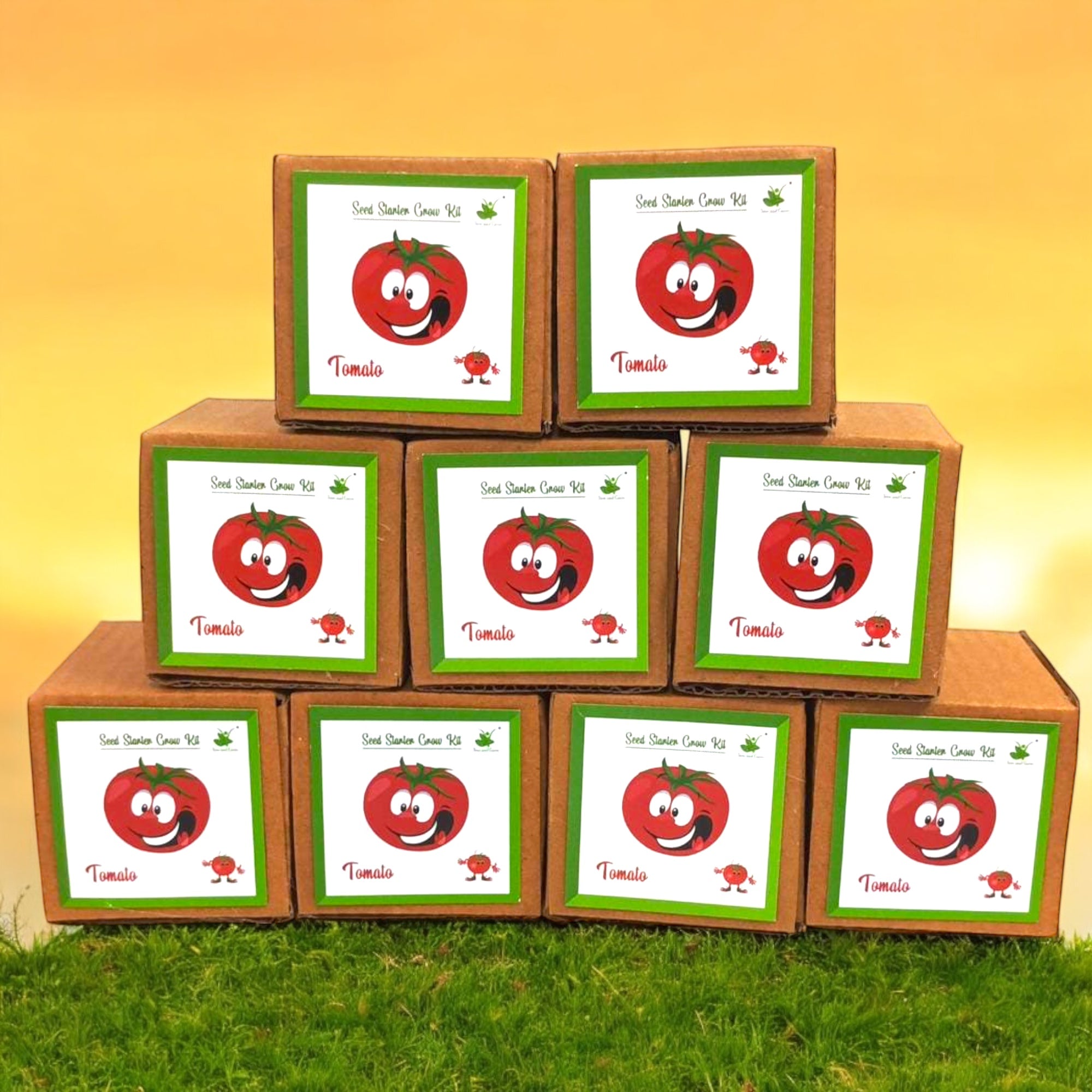 Mini Tomato Grow Kits – Set of Eco-Friendly DIY Gardening Gift Pack for  Kids Adults Return Gift Ideas