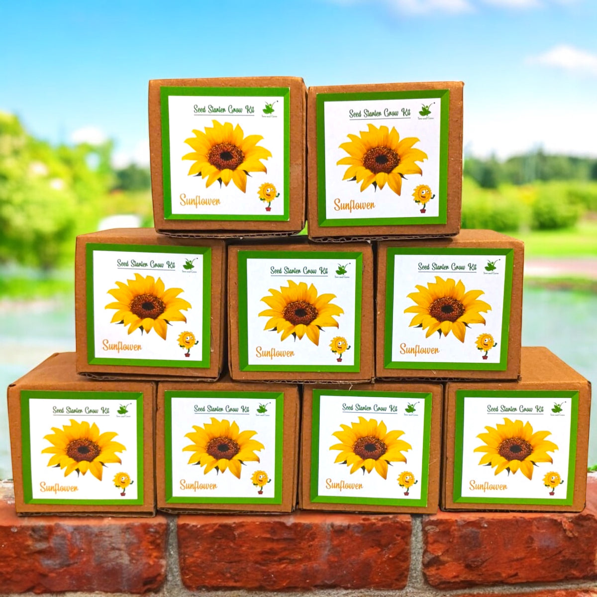 Mini Sunflower Grow Kits – Set of 9 | Eco-Friendly DIY Gardening Gift Pack for Kids & Adults | Return Gift Ideas