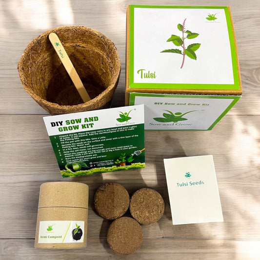 Holy Tulsi Seed Starter Grow Kit – Pack of 6 | DIY Easy Grow-it-Yourself Gardening Kit for Home and Garden | A Complete Beginner Gardeners Gardening Set