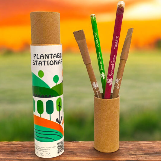 Plantable 2+2 Combo : 2 Seed Pencils + 2 Seed Paper Pens in a Re-usable Stationary Box