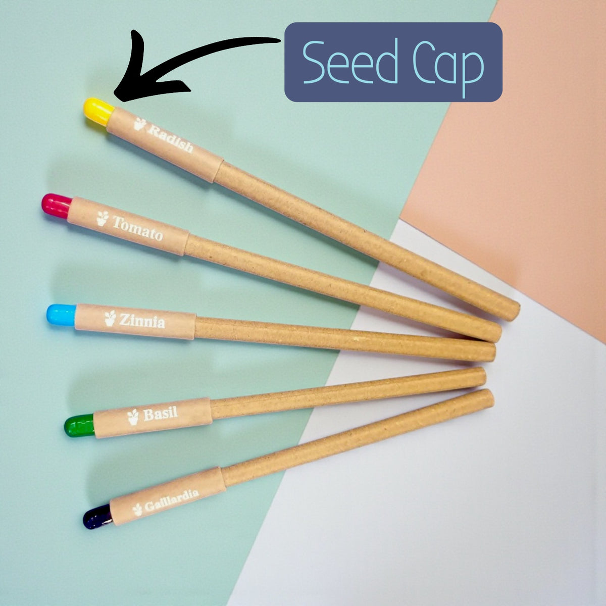 Box of 50 Plantable Seed Pens with Seed-Filled Cap | Eco-Friendly & Biodegradable Writing Pens | Pack of 50