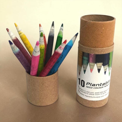 10 Small Plantable Recycled Seed Colour Pencils with Reusable Pencil Box | Eco-Friendly Stationery | Best Return Gift for Kids