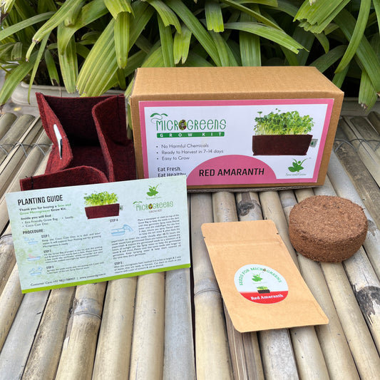 Microgreens Grow Kit: Red Amaranth 20 grams || Easy to Use Kit for Beginner Gardeners