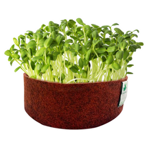 Sow and Grow Microgreens Grow Kit: Sunflower and Broccoli - Grow 2 Microgreens | Easy to Use Kit for Beginner Gardeners