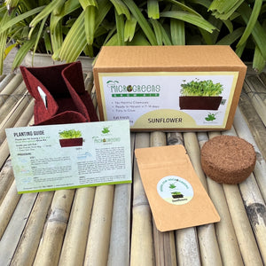 Microgreens Grow Kit: Sunflower 30 grams || Easy to Use Kit for Beginner Gardeners