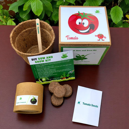 Tomato Seed Starter Grow Kit – Pack of 6 | DIY Easy Grow-it-Yourself Gardening Kit for Home &amp; Garden | A Complete Beginner Gardeners Gardening Set