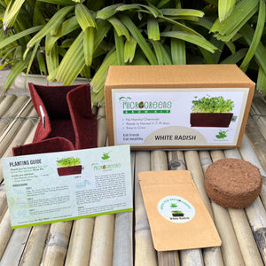 Microgreens Grow Kit: White Radish 25 grams || Easy to Use Kit for Beginner Gardeners