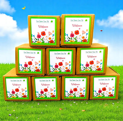 Mini Wildflower Grow Kits – Set of 9 | Eco-Friendly DIY Gardening Gift Pack for Kids & Adults | Return Gift Ideas