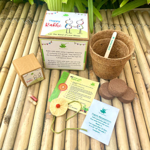 Thread Rakhi with Italian Basil Seeds | Combo with a DIY Gardening Kit