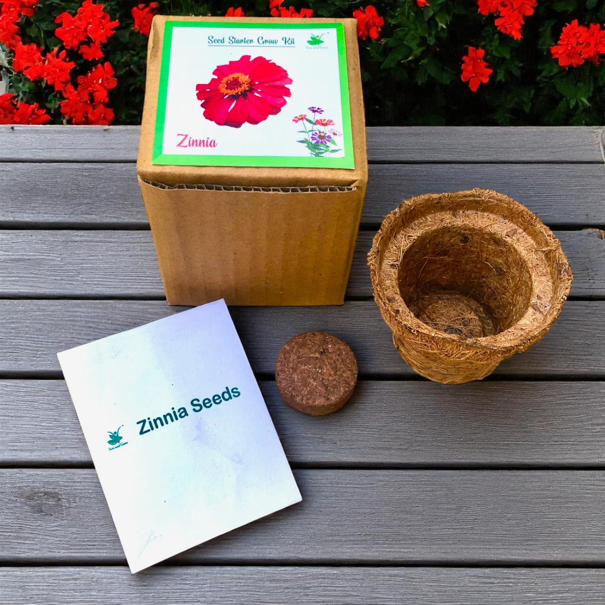 Mini Zinnia Flower Grow Kits – Set of 9 | Eco-Friendly DIY Gardening Gift Pack for Kids & Adults | Return Gift Ideas