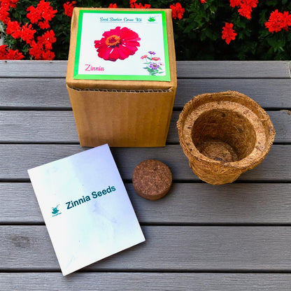 Mini Zinnia Flower Grow Kits – Set of 9 | Eco-Friendly DIY Gardening Gift Pack for Kids & Adults | Return Gift Ideas