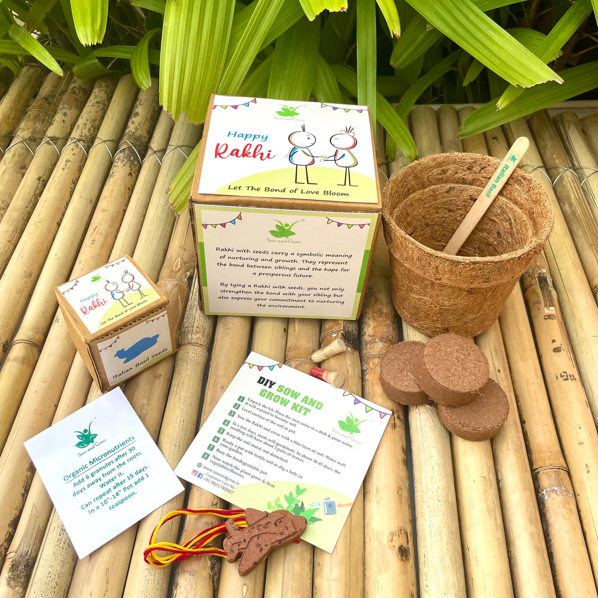 Aeroplane: Plantable Clay Rakhi with Italian Basil Seeds | Combo with a DIY Grow Kit