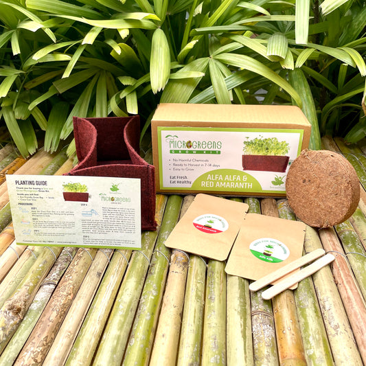 Sow and Grow Microgreens Grow Kit: Alfa Alfa and Red Amaranth - Grow 2 Microgreens | Easy to Use Kit for Beginner Gardeners