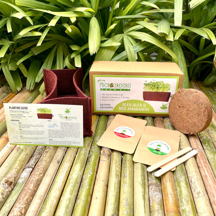 Sow and Grow Microgreens Grow Kit: Alfa Alfa and Red Amaranth - Grow 2 Microgreens | Easy to Use Kit for Beginner Gardeners