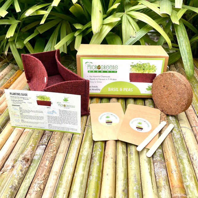 Sow and Grow Microgreens Grow Kit: Basil and Peas - Grow 2 Microgreens | Easy to Use Kit for Beginner Gardeners