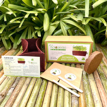 Load image into Gallery viewer, Sow and Grow Microgreens Grow Kit: Beetroot and White Radish - Grow 2 Microgreens | Easy to Use Kit for Beginner Gardeners
