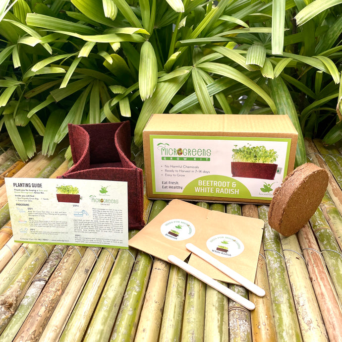 Sow and Grow Microgreens Grow Kit: Beetroot and White Radish - Grow 2 Microgreens | Easy to Use Kit for Beginner Gardeners