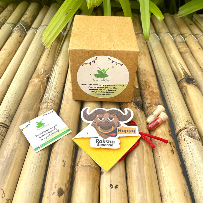 Big Bull: Kids 3-in-1 Bookmark Plantable Rakhi with Roli Chawal Combo