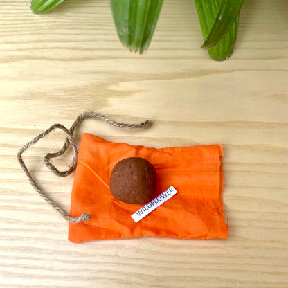 Seed Balls of Wildflower Seeds | Set of 10 Individually Packed Beej Balls | Eco-Friendly Gardening Kit | Sustainable Green Gifting