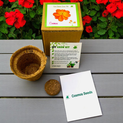 Mini Cosmos Flower Grow Kits – Set of 9 | Easy-to-Grow DIY Gardening Gift Pack | Eco-Friendly Return Gift Idea for Kids & Adults