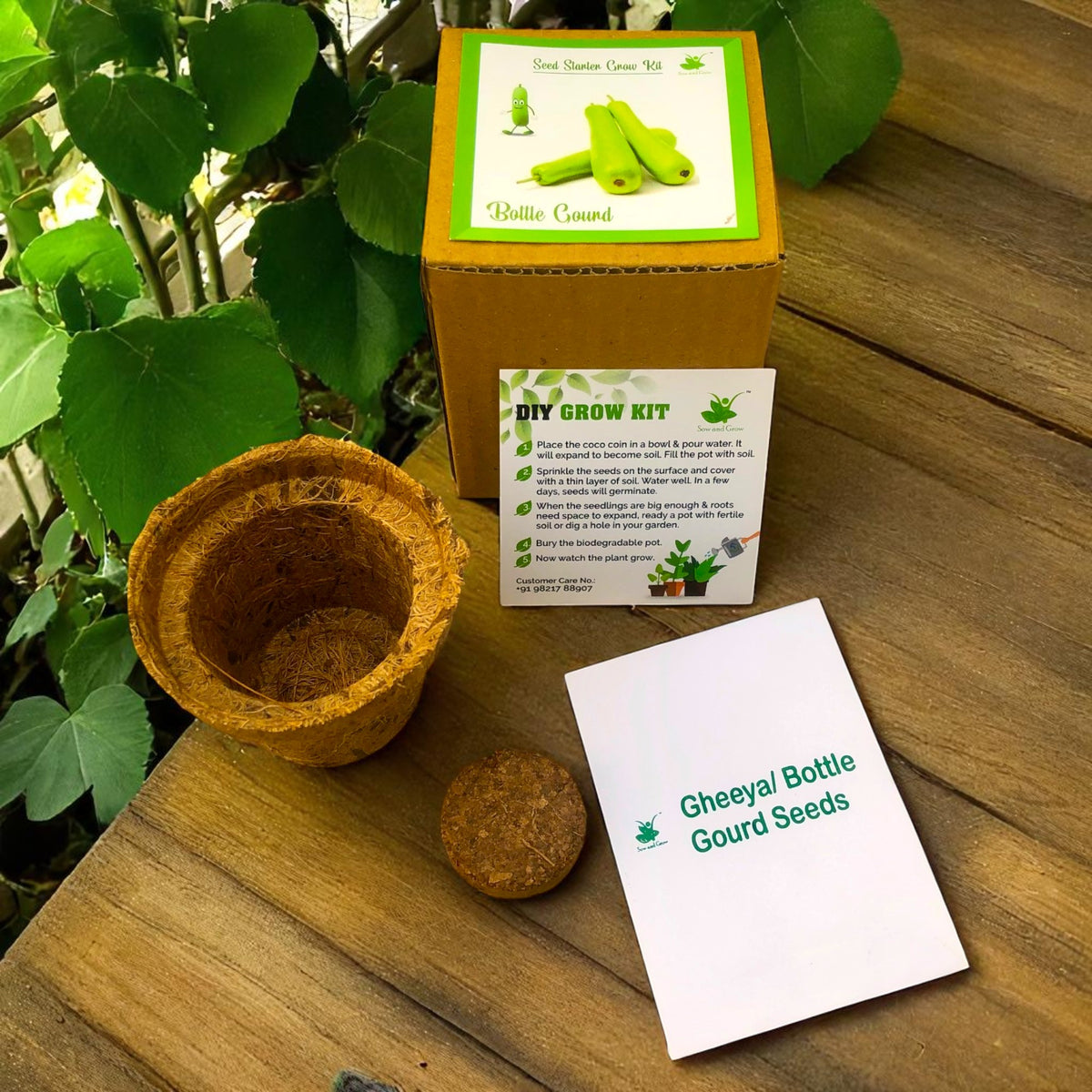 Mini Bottle Gourd (Gheeya/Lauki) Grow Kits – Set of 9 | Eco-Friendly DIY Gardening Gift Pack for Kids & Adults | Return Gift Ideas