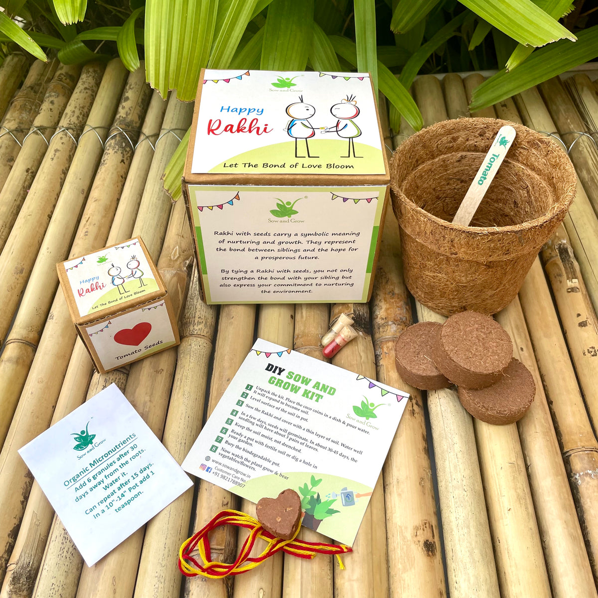 Heart: Clay Rakhi with Tomato Seeds | Combo with a DIY Grow Kit