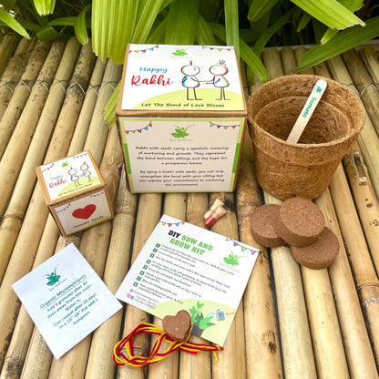 Heart: Clay Rakhi with Tomato Seeds | Combo with a DIY Grow Kit