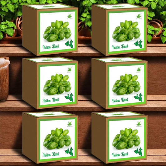Italian Basil Seed Starter Grow Kit – Pack of 6 | DIY Gardening Kit for Home & Garden | Easy Grow-it-Yourself Set for Beginners | Perfect Eco-Friendly Gift