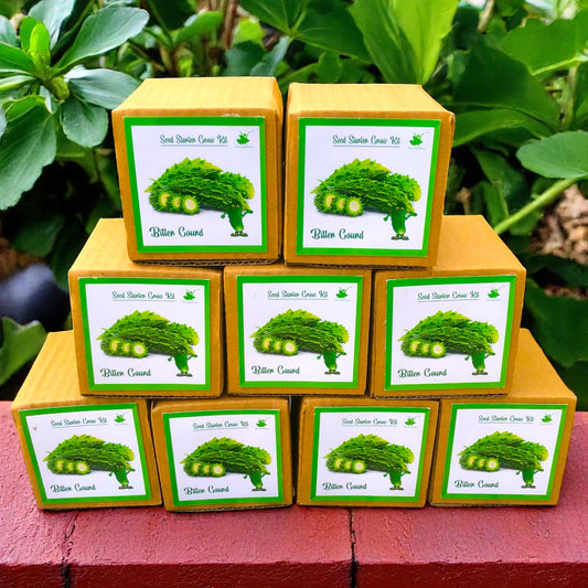 Mini Bitter Gourd (Karela) Grow Kits – Set of 9 | Eco-Friendly DIY Gardening Gift Pack for Kids & Adults | Return Gift Ideas