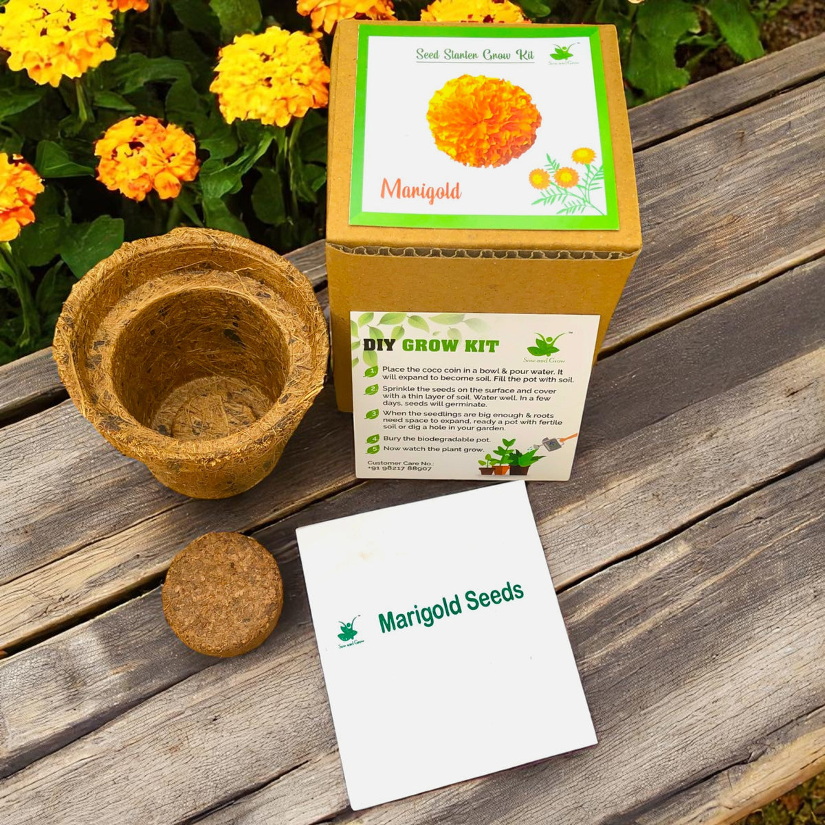 Mini Marigold Flower Grow Kits – Set of 9 | Eco-Friendly DIY Gardening Gift Pack for Kids & Adults | Return Gift Ideas