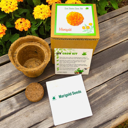 Mini Marigold Flower Grow Kits – Set of 9 | Eco-Friendly DIY Gardening Gift Pack for Kids & Adults | Return Gift Ideas