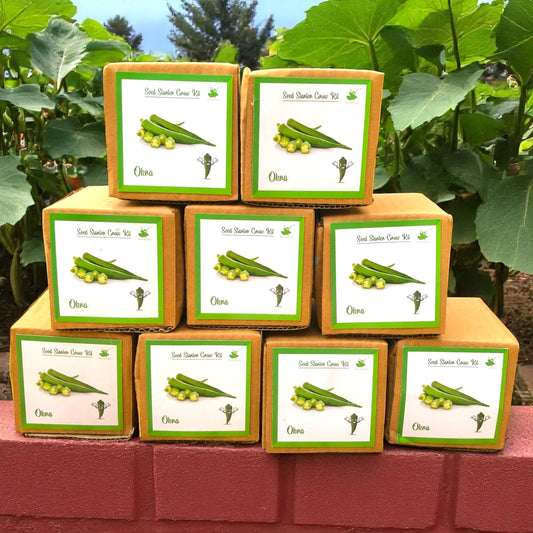 Mini Okra (Bhindi/Lady Finger) Grow Kits – Set of 9 | Eco-Friendly DIY Gardening Gift Pack for Kids & Adults | Return Gift Ideas
