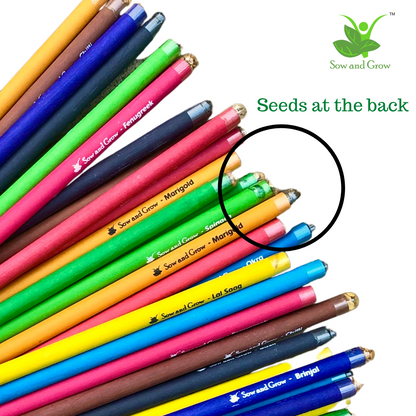 Plantable Seed Pencils | Gift Pack of Individually Packed Plantable Pencils
