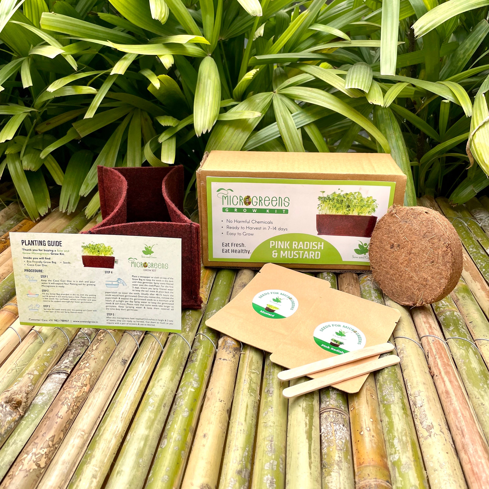 Sow And Grow Microgreens Grow Kit Pink Radish And Mustard Grow 2 Mi sow-and-grow-microgreens-grow-kit-pink-radish-and-mustard-grow-2-mi