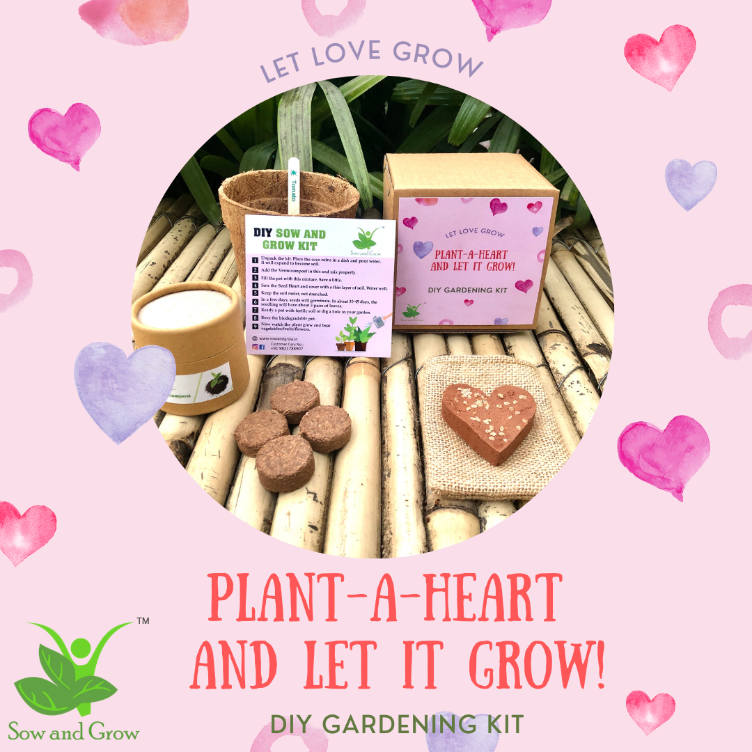 Plant-A-Heart: Plantable Heart with Tomato Seeds – Pack of 6 | Valentine's Day, Women's Day, Birthday Gifts