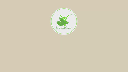 DIY Mould & Make Plantable Laxmiji and Ganeshji Kit | Eco-Friendly Idol Making Kit for Kids & Adults