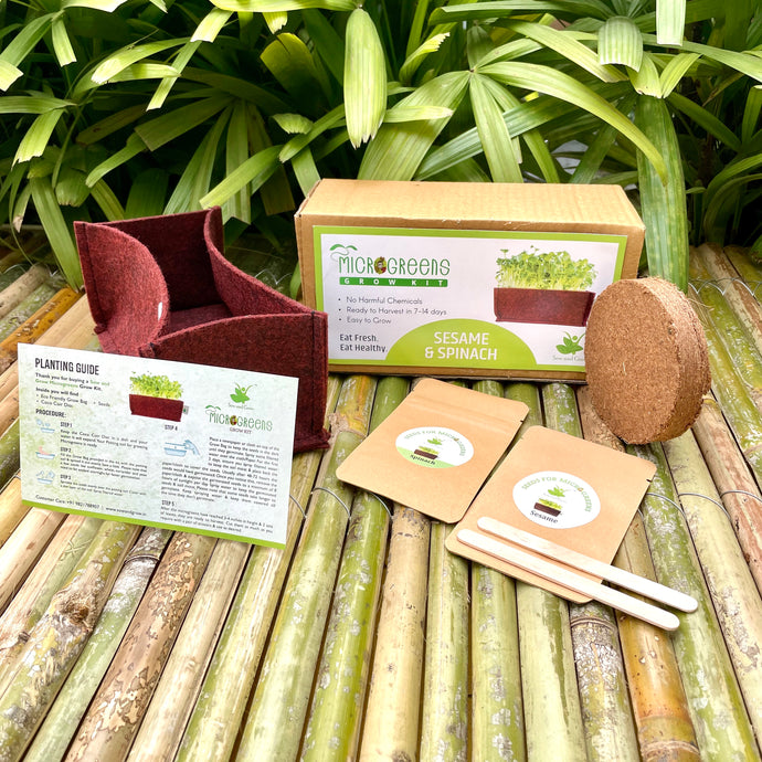 Sow and Grow Microgreens Grow Kit: Sesame and Spinach - Grow 2 Microgreens | Easy to Use Kit for Beginner Gardeners