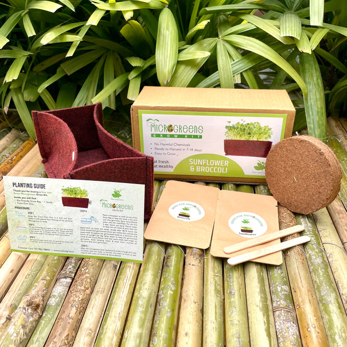 Sow and Grow Microgreens Grow Kit: Sunflower and Broccoli - Grow 2 Microgreens | Easy to Use Kit for Beginner Gardeners