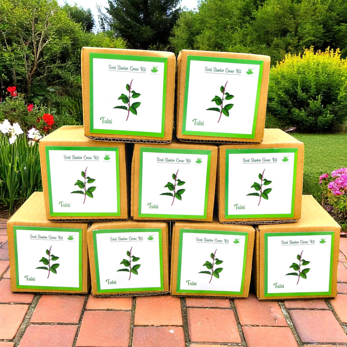 Mini Rama Tulsi (Holy Basil) Grow Kits – Set of 9 | Eco-Friendly DIY Gardening Gift Pack for Kids & Adults | Return Gift Ideas